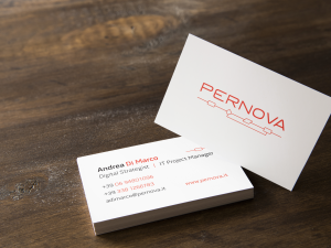 Pernova Logo and Business card